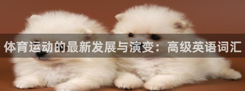 风速体育官网