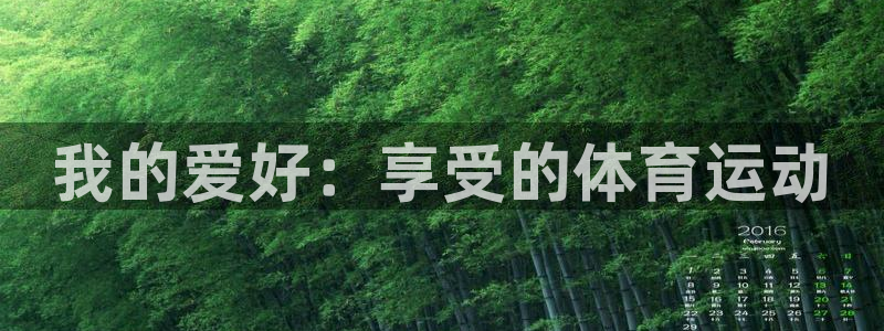 风速体育下载
