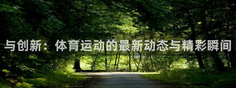 风速体育app官方下载