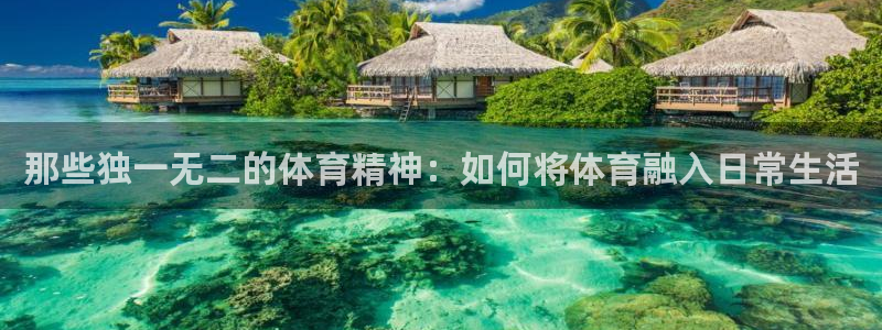 风速体育：那些独一无二的体育精神：如何将体育融入日常生活