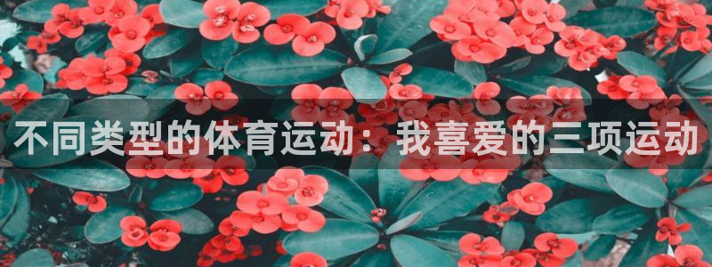 风速体育直播：不同类型的体育运动：我喜爱的三项运动