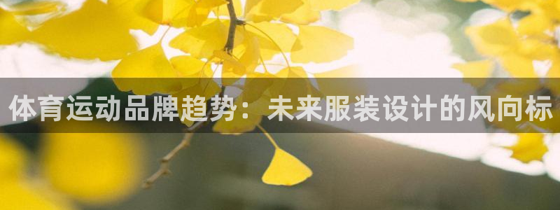 风速体育直播：体育运动品牌趋势：未来服装设计的风向标