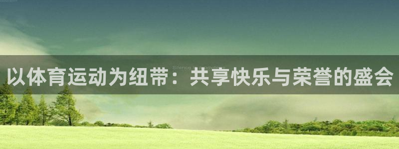 风速体育直播：以体育运动为纽带：共享快乐与荣誉的盛会