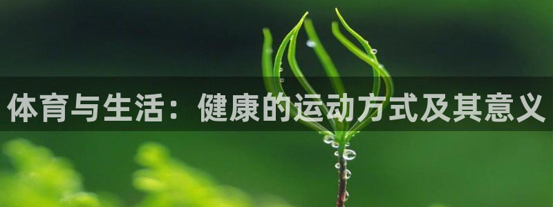 风速体育app