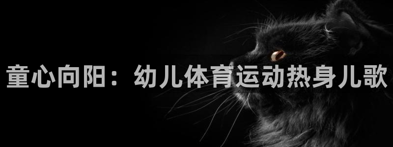 风速体育官网