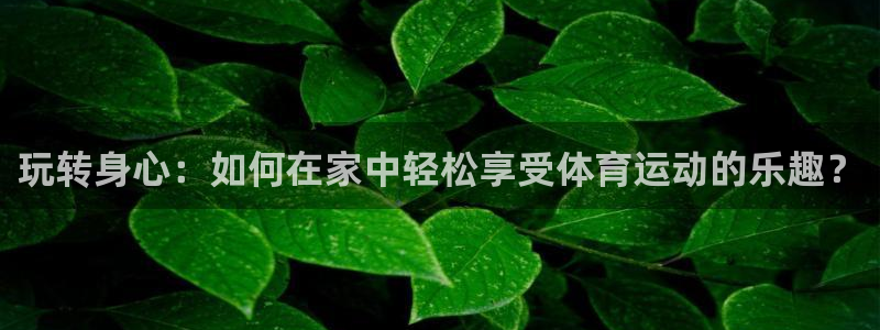 风速体育app