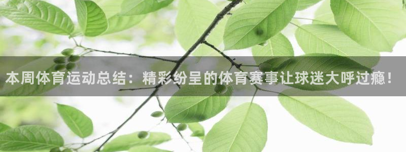 风速体育官网