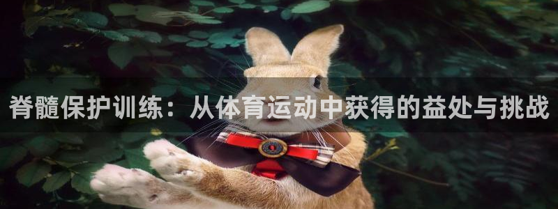 风速体育app下载安装最新版本：脊髓保护训练：从体育运动中获得的益处与挑战