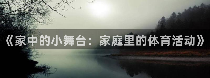 风速体育直播app：《家中的小舞台：家庭里的体育活动》