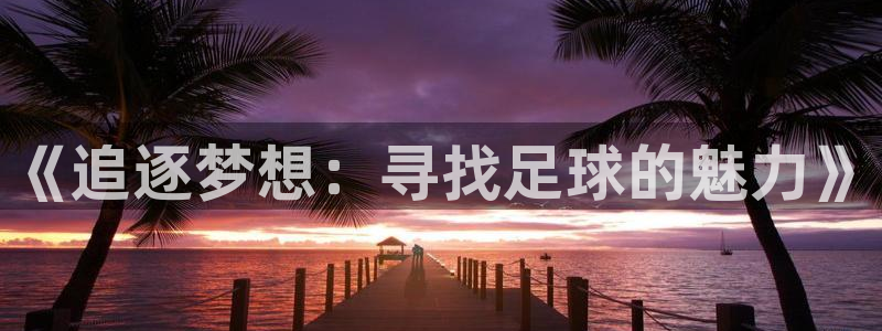 风速体育cba直播：《追逐梦想：寻找足球的魅力》