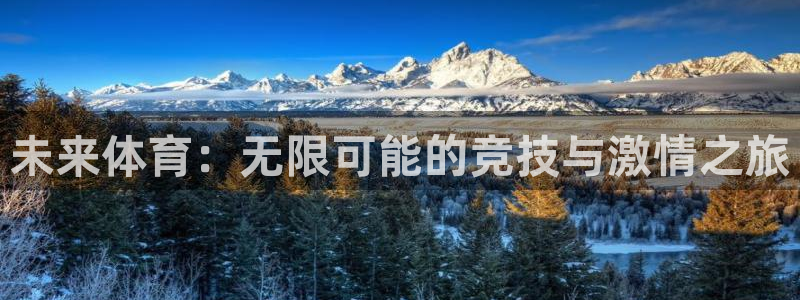 风速体育app：未来体育：无限可能的竞技与激情之旅