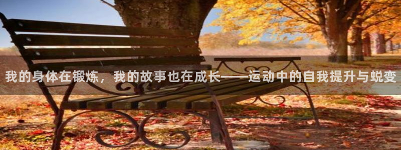 风速体育app：我的身体在锻炼，我的故事也在成长——运动中的自我提升与蜕变