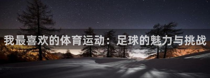风速体育app下载安装最新版本：我最喜欢的体育运动：足球的魅力与挑战